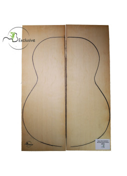 MB Exclusive Bearclaw Engelmann Spruce Classical Guitar Tops Nº 21