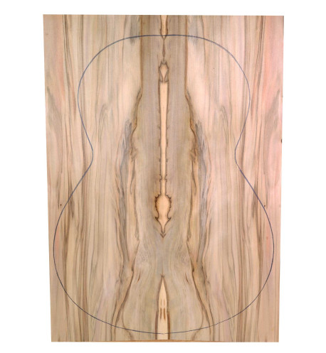 Fondo Contrachapado Red Gum + Red Gum chitarra classica  | Maderas Barber