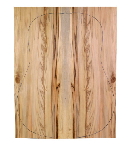 Boden Contrachapado Red Gum + Red Gum Akustikgitarre| Maderas Barber