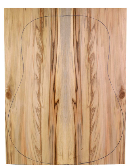 Boden Contrachapado Red Gum + Red Gum Akustikgitarre| Maderas Barber