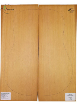 Tapa Cedro Rojo Nº 0000015 Guitarra Acústica MB Exclusive