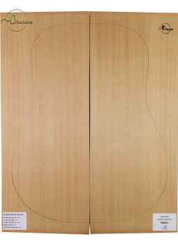 Red Cedar Acoustic Guitar Top MB Exclusive Nº 000021
