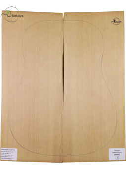 Red Cedar Acoustic Guitar Top MB Exclusive Nº 000022