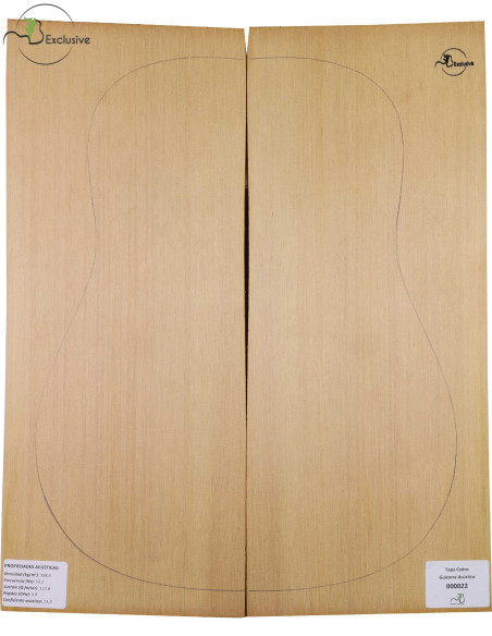 Red Cedar Acoustic Guitar Top MB Exclusive Nº 000022