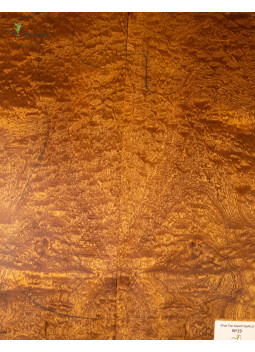 Drop Top Quilted Sapele MB Exclusive Nº19