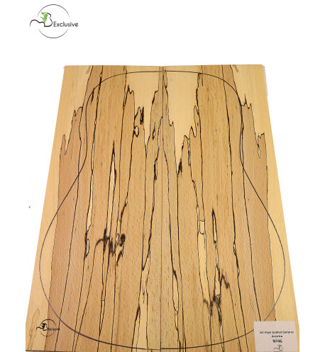 Set spalted Buche 46 Akustikgitarre | Maderas Barber