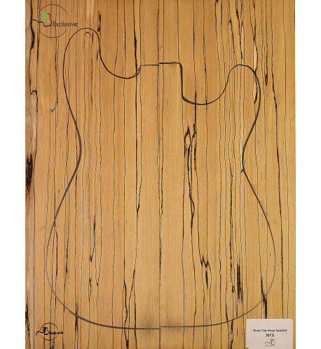 Decke Cuerpo spalted Buche Gitarre / E-Bass MB Exclusive Nr.3