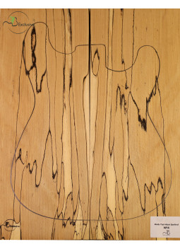 Decke Cuerpo spalted Buche Guitarra/E-Bass MB Exclusive Nr.4