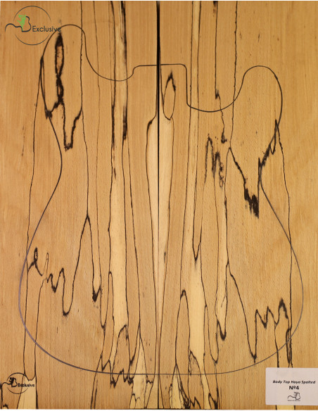 Decke Cuerpo spalted Buche Guitarra/E-Bass MB Exclusive Nr.4