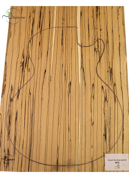 Carved Top Haya Spalted MB Exclusive Nº3