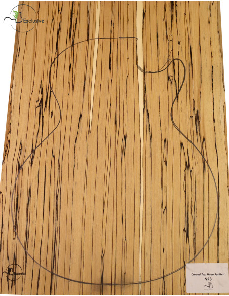 Carved Top Haya Spalted MB Exclusive Nº3
