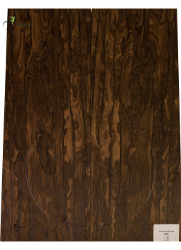 Carved Top Ziricote MB Exclusive Nº2
