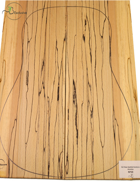 Set spalted Buche Akustikgitarre MB Exclusive Nr.59 | Maderas Barber