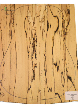 Spalted Beech Set Nº 58 MB Exclusive Acoustic Guitar | Maderas Barber