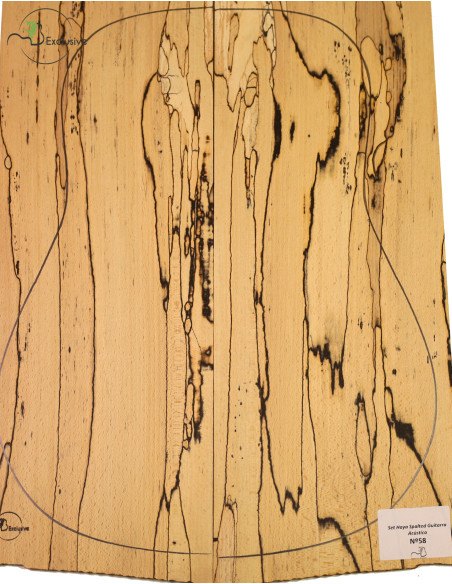 Set spalted Buche Akustikgitarre MB Exclusive Nr.58 | Maderas Barber