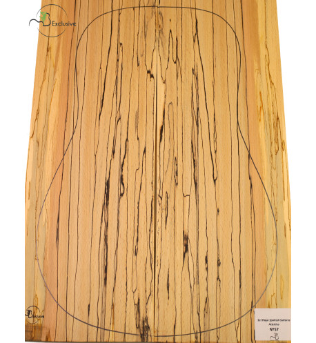Set spalted Buche Akustikgitarre MB Exclusive Nr.57 | Maderas Barber