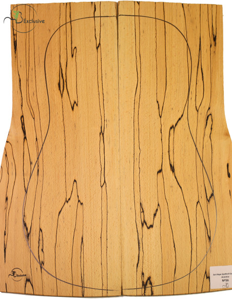 Set spalted Buche Akustikgitarre MB Exclusive Nr.56 | Maderas Barber