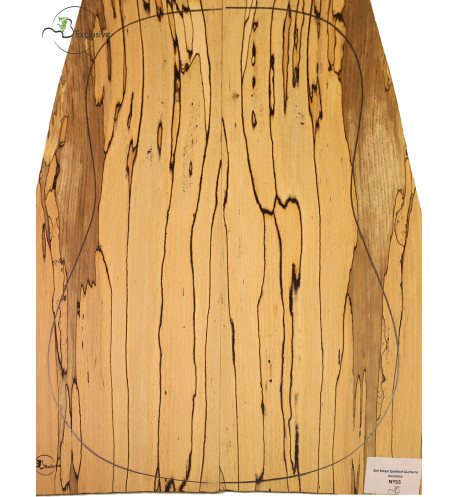 Spalted Beech Set Nº 55 Acoustic Guitar MB Exclusive | Maderas Barber