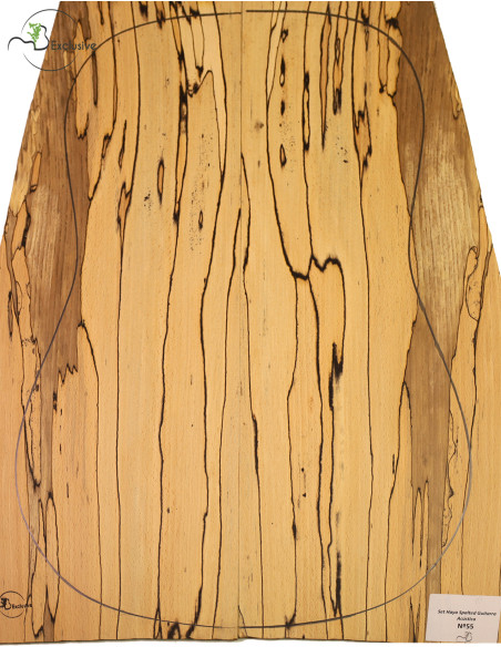 Set spalted Buche Akustikgitarre MB Exclusive Nr.55 | Maderas Barber