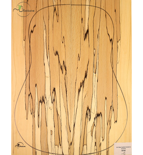 Spalted Beech Set Nº 49 Acoustic Guitar MB Exclusive | Maderas Barber