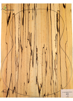 Set spalted Buche Konzertgitarre MB Exclusive Nr.37 | Maderas Barber