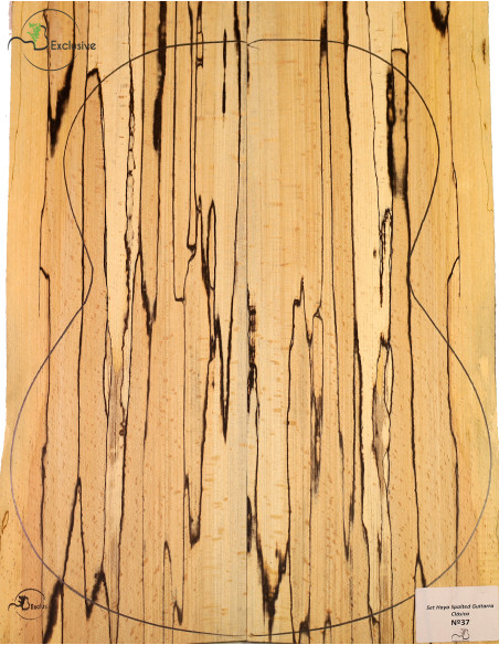 Set spalted Buche Konzertgitarre MB Exclusive Nr.37 | Maderas Barber