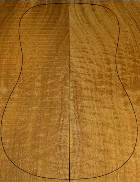 Fonds sapelli Guitare Acoustique