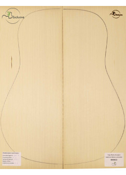 Tapa Abeto Europeo Nº 000013 Guitarra Clásica/Acústica MB Exclusive