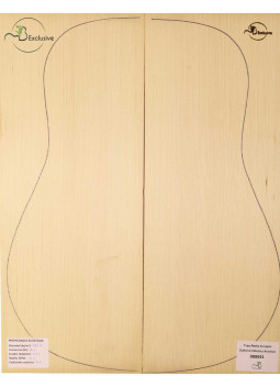 European Spruce Classical/Acoustic Guitar Top MB Exclusive Nº 000041