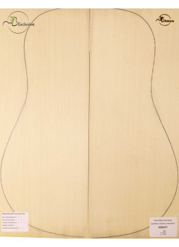 European Spruce Classical/Acoustic Guitar Top MB Exclusive Nº 000047