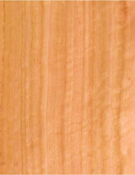 Lámina Chapa geflammter Eukalyptus Marquetería 550x200x0,5mm | Maderas Barber