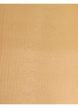 Lámina Chapa Sicomoro Marquetería 550x200x0,5mm