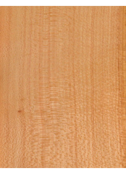Silver Oak Veneer Sheet Marquetry 550x200x0,5mm