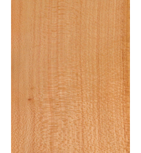 Feuille de Placage Silver Oak Marqueterie 550x200x0,5mm