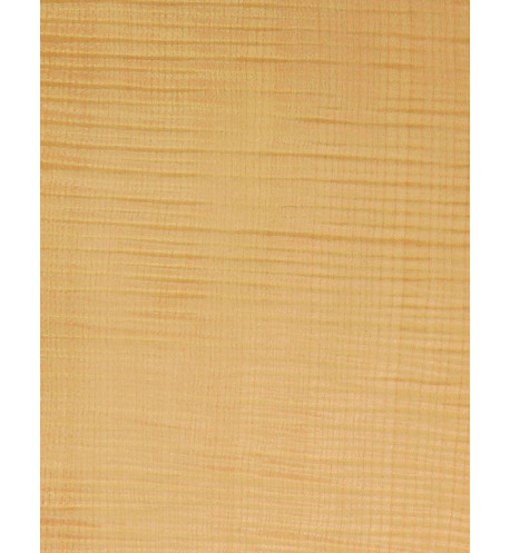 Lámina Chapa Arce Rizado Marquetería 550x200x0,5mm