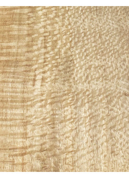 Lámina Chapa Silver Oak Marquetería 800x110x0,5mm | Maderas Barber