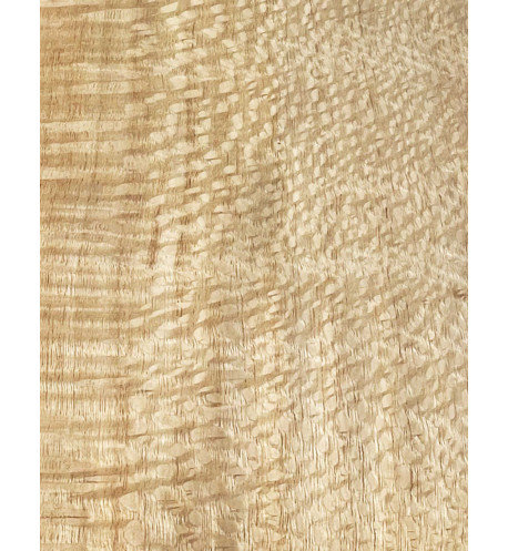 Lámina Chapa Silver Oak Marquetería 800x110x0,5mm | Maderas Barber