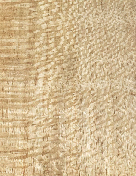 Lámina Chapa Silver Oak Marquetería 800x110x0,5mm | Maderas Barber