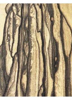 Lámina Chapa Pale Moon Marquetería 800x110x0,5mm | Maderas Barber