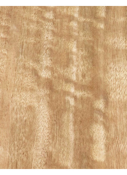 Lámina Chapa Eucalipto Rizado Marquetería 800x110x0,5mm