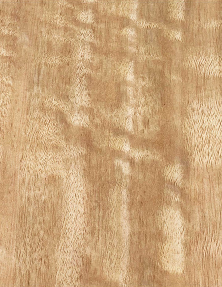 Feuille de Placage Eucalyptus Ondé Marqueterie 800x110x0,5mm