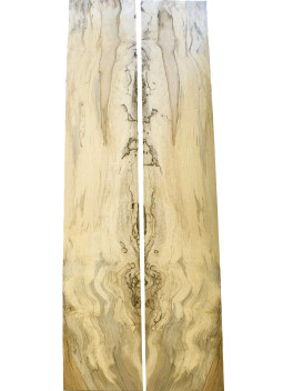 Zargen spalted Ahorn Akustikgitarre | Zargen Akustik