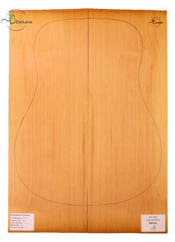 Tapa Cedro Rojo Nº 000131 Guitarra Acústica MB Exclusive