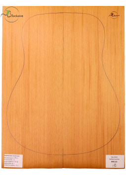 Red Cedar Acoustic Guitar Top MB Exclusive Nº 000123