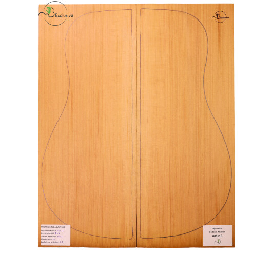 Red Cedar Acoustic Guitar Top MB Exclusive Nº 000116