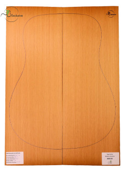 Red Cedar Acoustic Guitar Top MB Exclusive Nº 000102