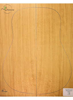 Jeu Guitare Acoustique Chêne Européen MB Exclusive Nº31| Maderas Barber
