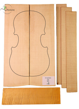MB Exclusive Curly Maple Viola Set Nº7 | Maderas Barber