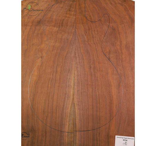 Comprar Carved Top noce americano MB Exclusive n. 10