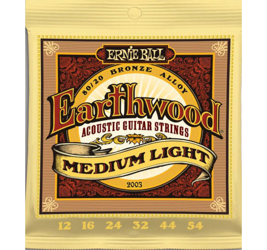 Buy Ernie Ball Earthwood  Medium Light Acoustic Guitar Strings 12-54